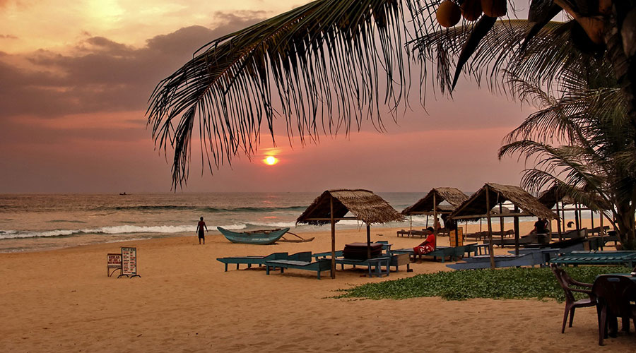 Шри ланка туры март. Хиккадува Шри Ланка. Пляж Хиккадува Шри Ланка. Отели Шри Ланки Хиккадува. Пляж мокко.